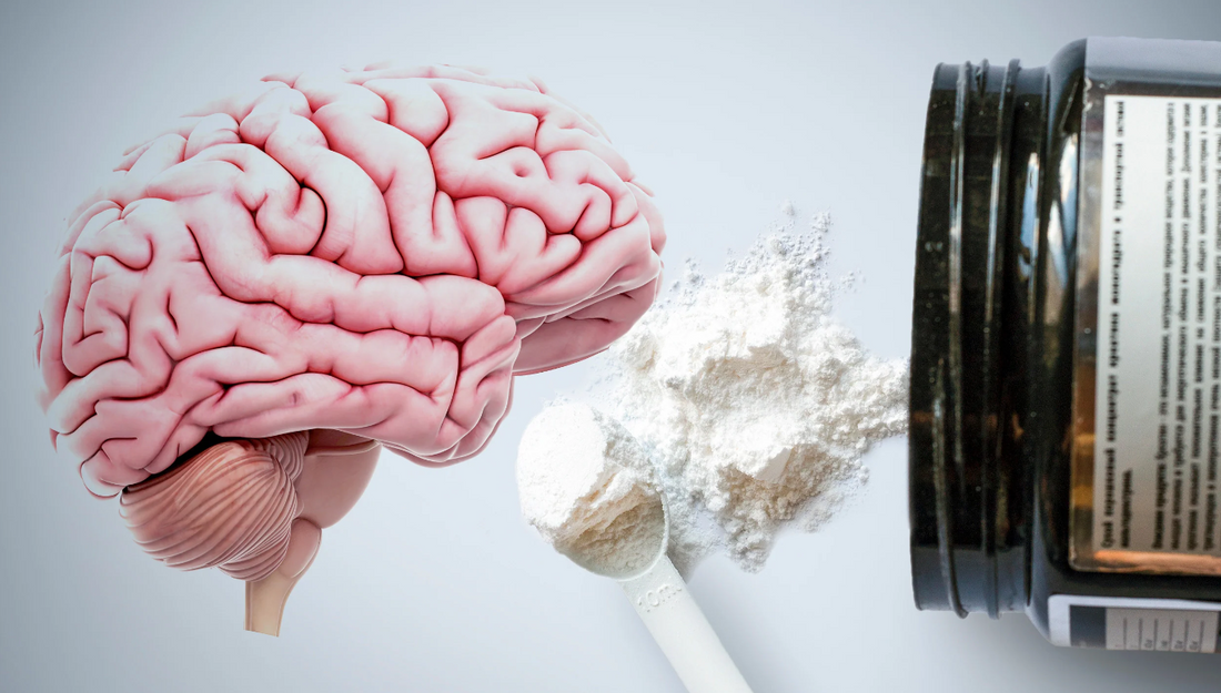 Why you should be using Creatine for Brain Health